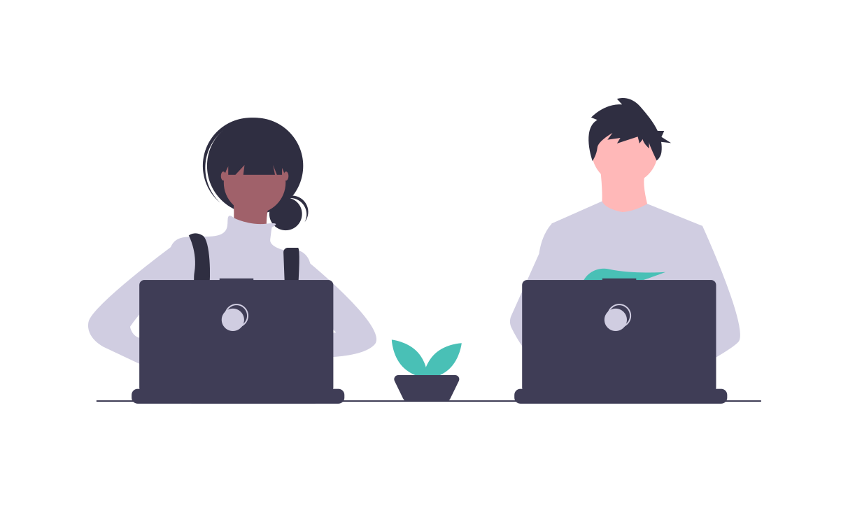 Custom software development